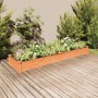 Fioriera Giardino con Fodera Marrone 240x60x25cm Massello Abete