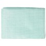 Tappeto da Tenda 700x250 cm Verde
