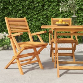 Sedie da Giardino Pieghevoli 2pz 55x62x90cm Legno Massello Teak