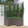 Fioriera da Giardino con Graticcio Marrone 80x80x136 cm in PP