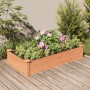 Fioriera Giardino con Fodera Marrone 120x60x25cm Massello Abete