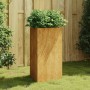 Fioriera da Giardino 50x43x75 cm in Acciaio Corten