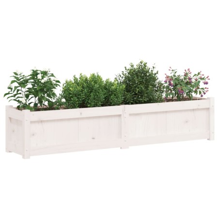 Fioriera da Giardino Bianca 150x31x31 cm Legno Massello di Pino