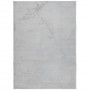 Tappeto IZA a Pelo Corto Aspetto Scandinavo Grigio 200x280 cm