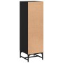 Credenza con Ante in Vetro Nera 35x37x120 cm