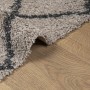 Tappeto Shaggy PAMPLONA Pelo Lungo Beige e Antracite 160x230 cm