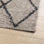 Tappeto Shaggy PAMPLONA a Pelo Lungo Beige e Antracite 80x250cm