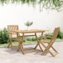 Tavolo da Giardino Pieghevole 120x70x75cm Legno Massello Acacia