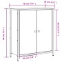 Credenza Rovere Fumo 70x30x80 cm in Legno Multistrato