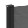 Tenda da Sole Laterale Retrattile Antracite 120x600 cm