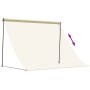 Tenda da Sole Retrattile Crema 250x150 cm in Tessuto e Acciaio