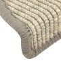 Tappeti Autoadesivi per Scale 15 pz 56x17x3 cm Argento