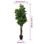 Albero Ficus Lyrata 232 Foglie 180 cm Verde