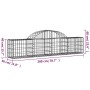 Cesti Gabbioni ad Arco 15 pz 200x30x40/60 cm Ferro Zincato