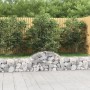 Cesti Gabbioni ad Arco 3 pz 200x30x40/60 cm Ferro Zincato