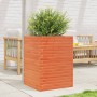 Fioriera Giardino Marrone Cera 50x50x68,5cm Legno Massello Pino