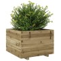 Fioriera da Giardino 70x70x49,5 cm in Legno di Pino Impregnato