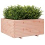 Fioriera da Giardino 100x100x49,5 cm Legno Massello di Douglas