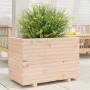 Fioriera da Giardino 70x40x49,5 cm in Legno Massello di Pino
