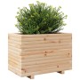 Fioriera da Giardino 70x40x49,5 cm in Legno Massello di Pino