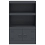 Credenza Antracite 67x39x107 cm in Acciaio