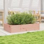 Fioriera da Giardino 110x60x23 cm in Legno Massello di Douglas