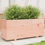 Fioriera da Giardino 110x40x49,5cm in Legno Massello di Douglas