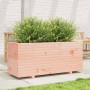 Fioriera da Giardino 110x40x49,5cm in Legno Massello di Douglas