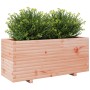 Fioriera da Giardino 110x40x49,5cm in Legno Massello di Douglas