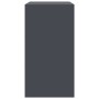 Credenza Antracite 67x39x73 cm in Acciaio