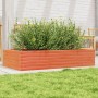 Fioriera Giardino Marrone Cera 110x60x23 cm Legno Massello Pino