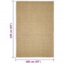 Tappeto in Sisal per Tiragraffi 100x150 cm