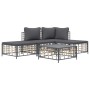 Set Divani da Giardino 5 pz con Cuscini Antracite in Polyrattan