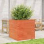 Fioriera Giardino Marrone Cera 70x70x68,5cm Legno Massello Pino