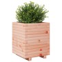 Fioriera da Giardino 40x40x49,5 cm in Legno Massello di Douglas