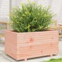 Fioriera da Giardino 90x60x49,5 cm in Legno Massello di Douglas