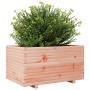 Fioriera da Giardino 90x60x49,5 cm in Legno Massello di Douglas