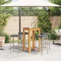Set Bar Giardino 5pz Grigio Legno Massello Acacia e Polyrattan