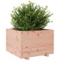 Fioriera da Giardino 70x70x49,5 cm in Legno Massello di Douglas