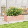 Fioriera da Giardino 90x40x23 cm in Legno Massello di Douglas