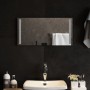 Specchio da Bagno con Luci LED 60x30 cm