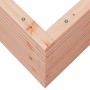 Fioriera da Giardino 110x60x68,5 cm Legno Massello Di Douglas