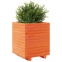 Fioriera Giardino Marrone Cera 40x40x49,5cm Legno Massello Pino