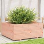 Fioriera da Giardino 110x110x49,5 cm Legno Massello di Douglas