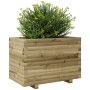 Fioriera da Giardino 70x40x49,5 cm in Legno di Pino Impregnato