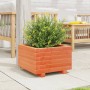 Fioriera Giardino Marrone Cera 40x40x26,5cm Legno Massello Pino