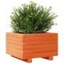 Fioriera Giardino Marrone Cera 40x40x26,5cm Legno Massello Pino