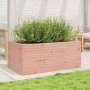 Fioriera da Giardino 110x60x45,5 cm Legno Massello di Douglas