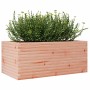 Fioriera da Giardino 110x60x45,5 cm Legno Massello di Douglas