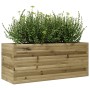 Fioriera da Giardino 110x40x45,5 cm in Legno di Pino Impregnato